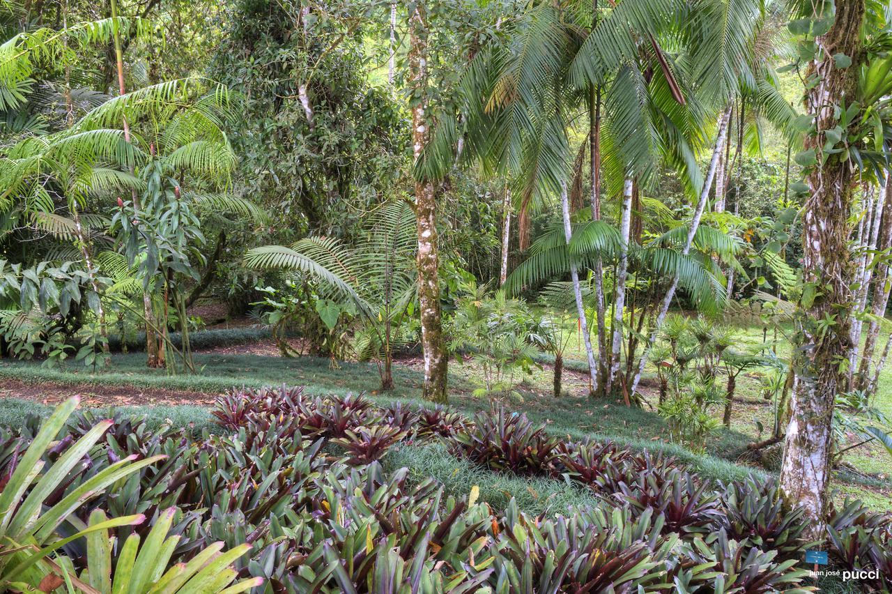 Estacion Biologica Las Cruces Y Jardin Botanico Wilson San Vito Exteriör bild