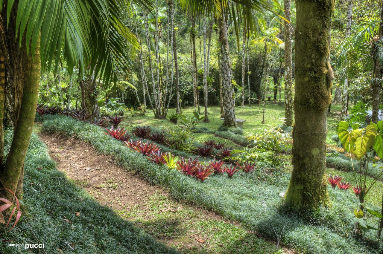 Estacion Biologica Las Cruces Y Jardin Botanico Wilson San Vito Exteriör bild