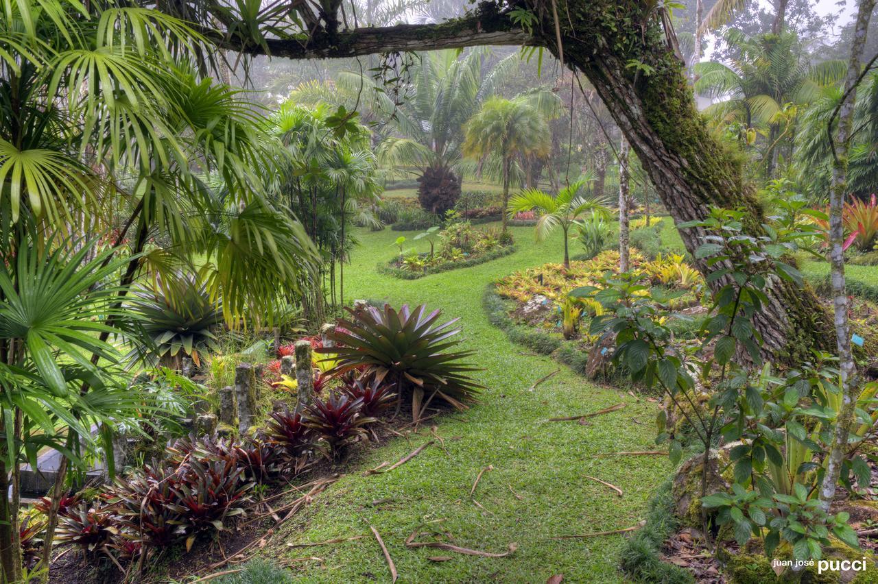 Estacion Biologica Las Cruces Y Jardin Botanico Wilson San Vito Exteriör bild
